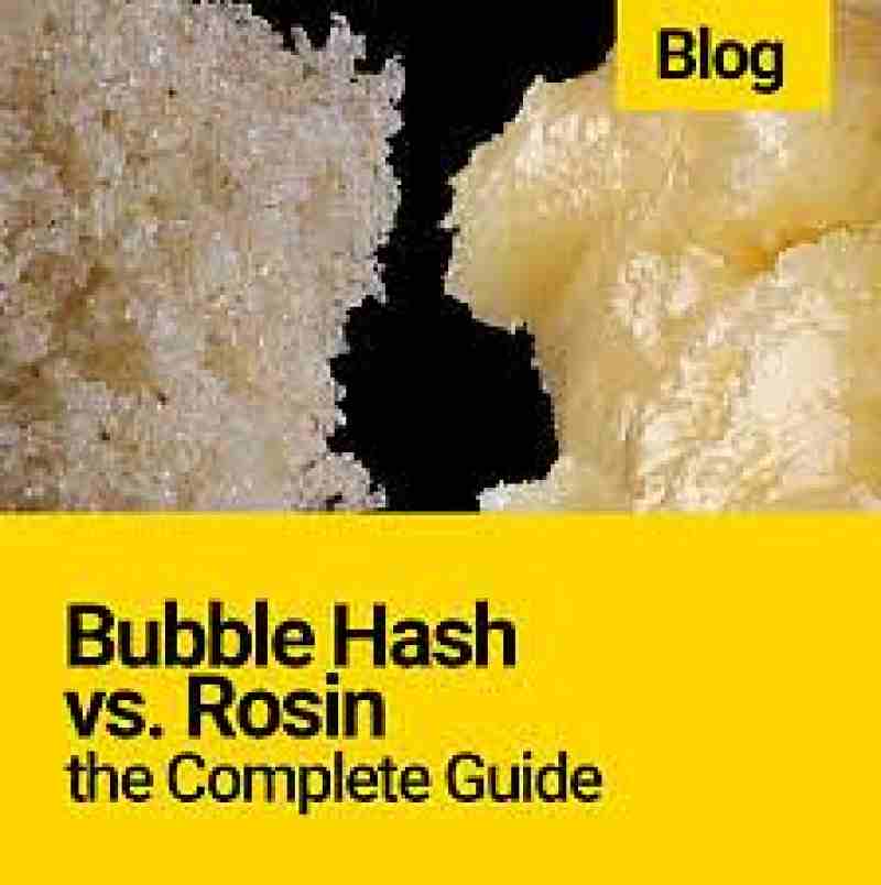 Hash Vs Rosin What They Are And How To Enjoy Them Hash vs rosin what they are and how to enjoy them